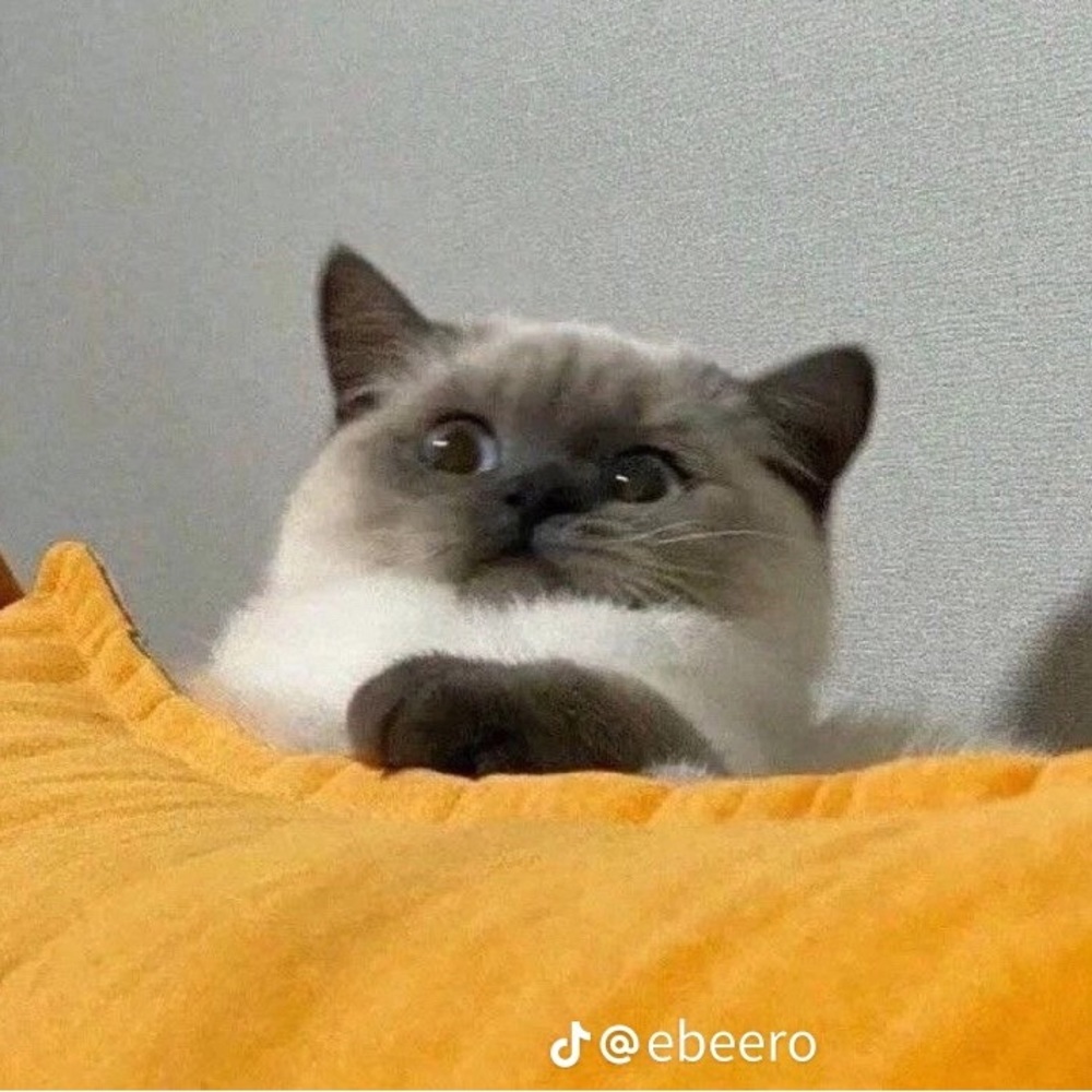 Meet your Posher, Serina